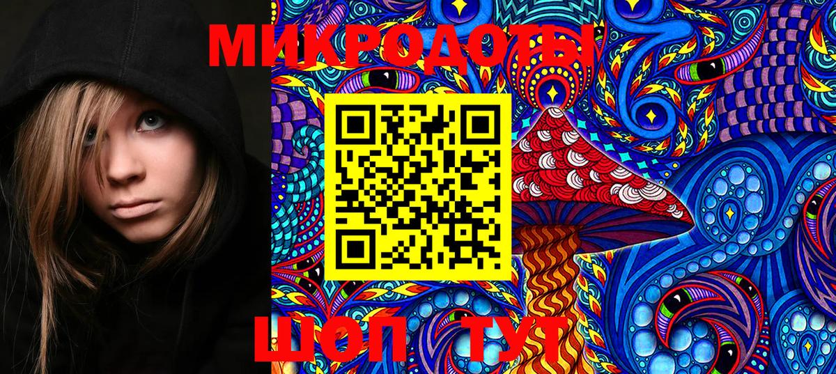 Псилоцибиновые грибы Psilocybe Нефтеюганск