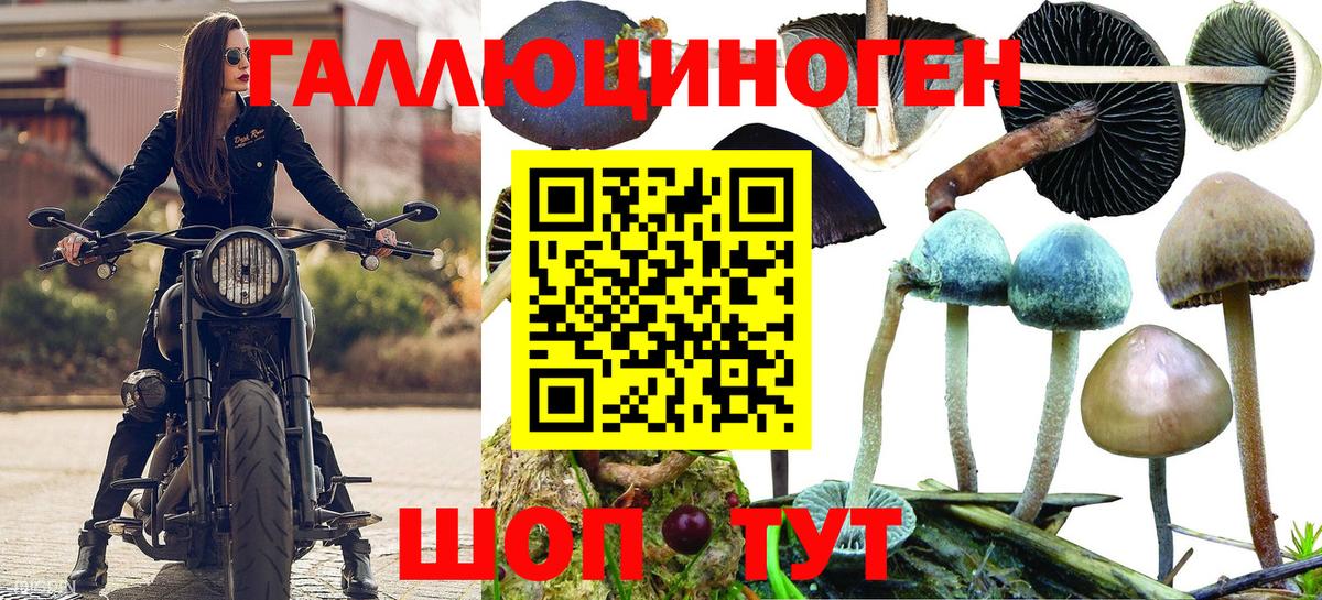 Галлюциногенные грибы Psilocybine cubensis  Псилоцибиновые грибы GOLDEN TEACHER  Вход с VPN  как найти   Нефтеюганск 